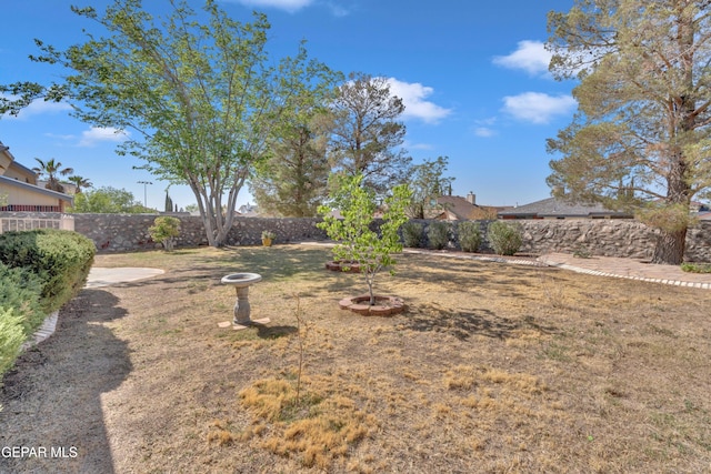 7341 Desierto Rojo Ct, El Paso, TX 79912 - view of yard featuring a fenced backyard