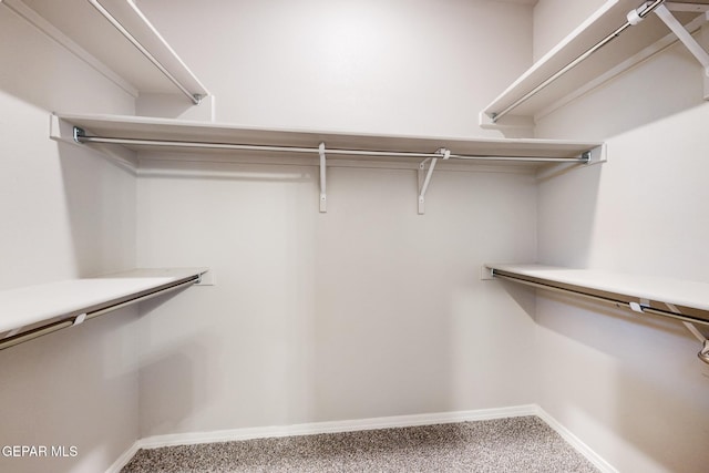 spacious closet featuring carpet