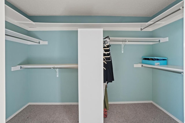 5628 Buckley Dr, El Paso, TX 79912 - walk in closet with carpet