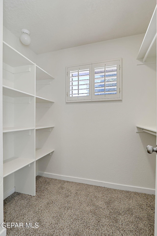view of spacious closet