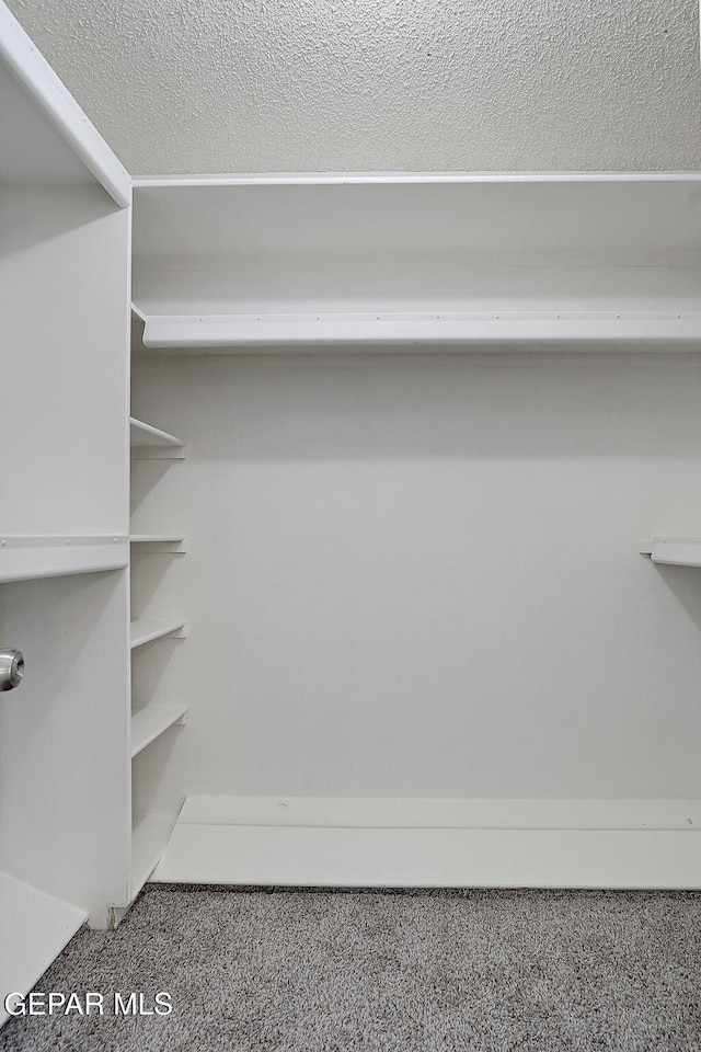 walk in closet with carpet