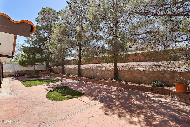 view of yard featuring a fenced backyard and a patio