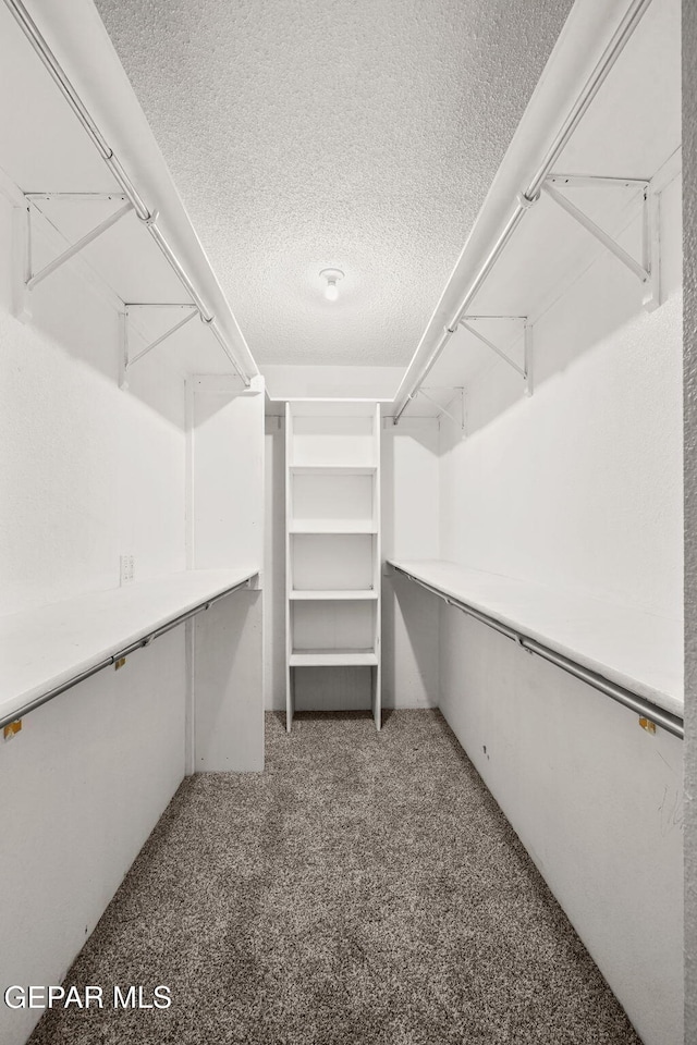 walk in closet featuring carpet floors