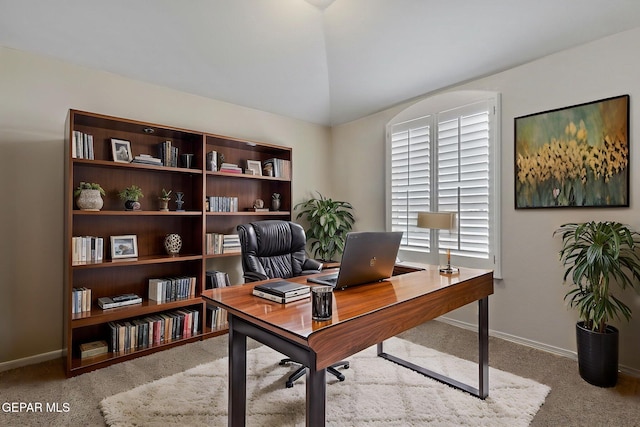 1205 Night Sky St, Horizon City, TX 79928 - carpeted office space featuring lofted ceiling and baseboards