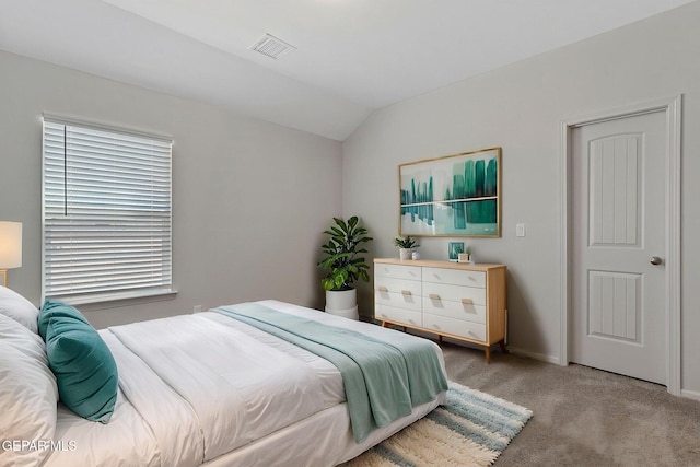 1205 Night Sky St, Horizon City, TX 79928 - bedroom featuring lofted ceiling, multiple windows, visible vents, and carpet