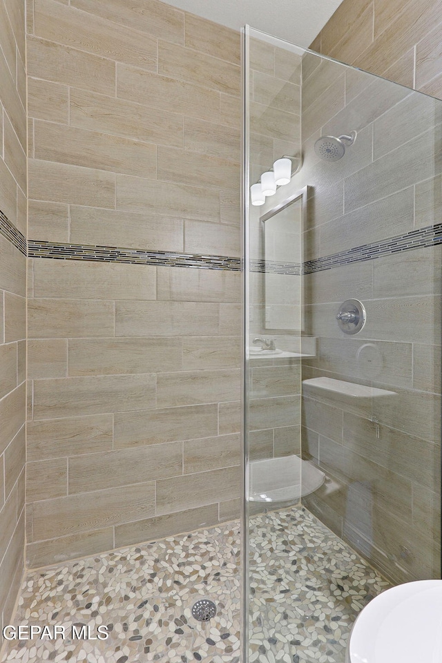 1205 Night Sky St, Horizon City, TX 79928 - full bathroom featuring a stall shower
