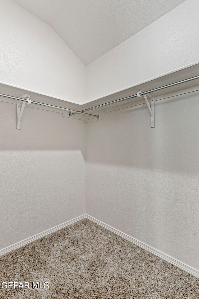 1205 Night Sky St, Horizon City, TX 79928 - spacious closet featuring lofted ceiling and carpet flooring