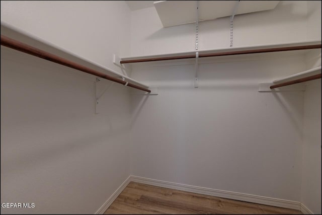 walk in closet with light wood finished floors