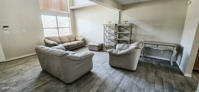 6236 Grace Madriles Pl, El Paso, TX 79932 - living area featuring wood finished floors and baseboards