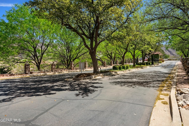 view of road featuring curbs