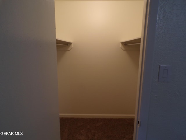 walk in closet featuring carpet