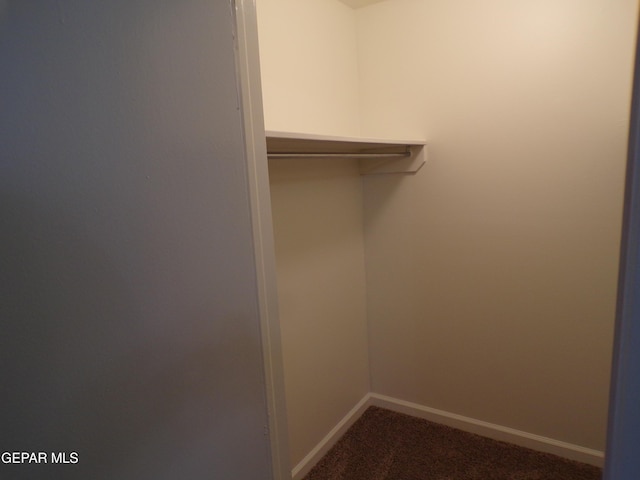 walk in closet with dark colored carpet
