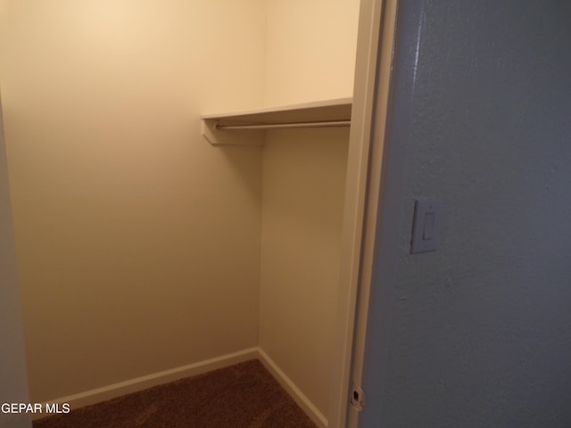 spacious closet with dark colored carpet