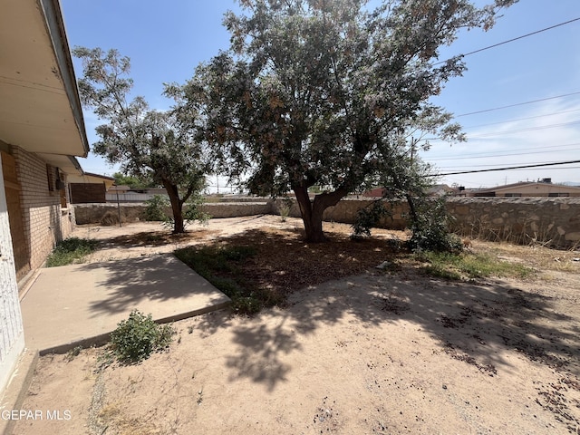 view of yard featuring a patio area and a fenced backyard