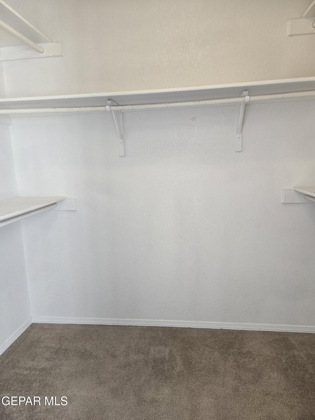 12525 Angie Bombach, El Paso, TX 79936 - spacious closet featuring carpet floors