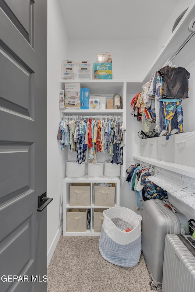 spacious closet with carpet flooring