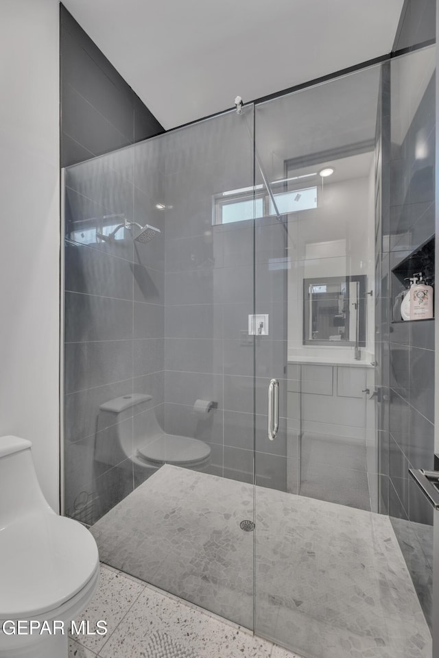 bathroom featuring vanity, toilet, and a shower stall