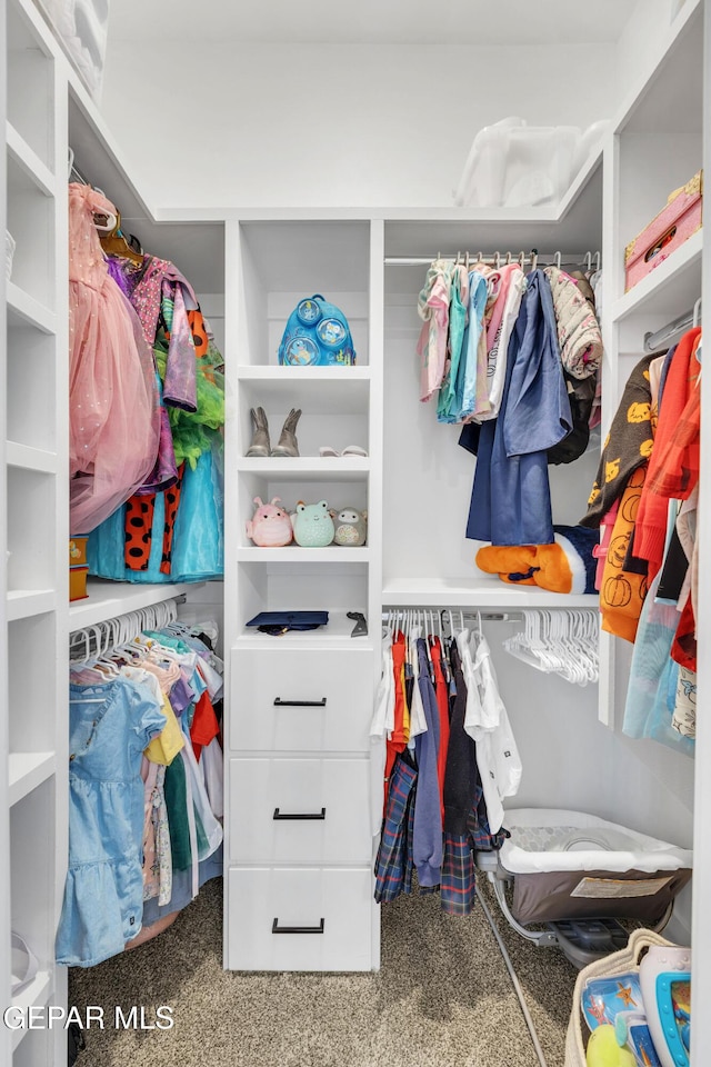 view of walk in closet