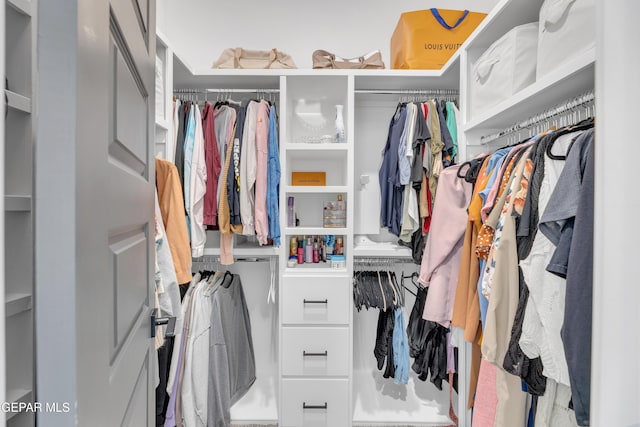 view of spacious closet