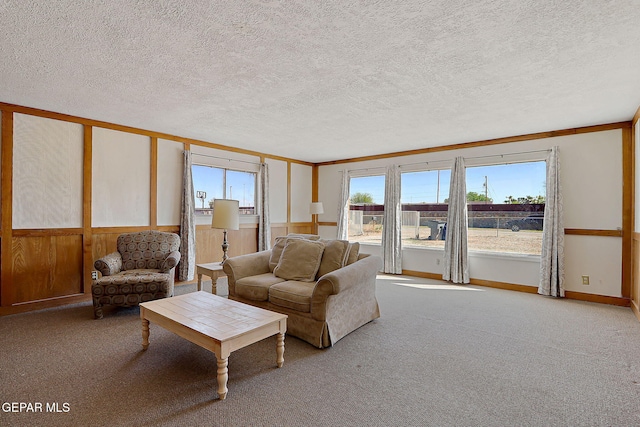 9668 Kathy Ave, El Paso, TX 79927 - carpeted living area with a textured ceiling