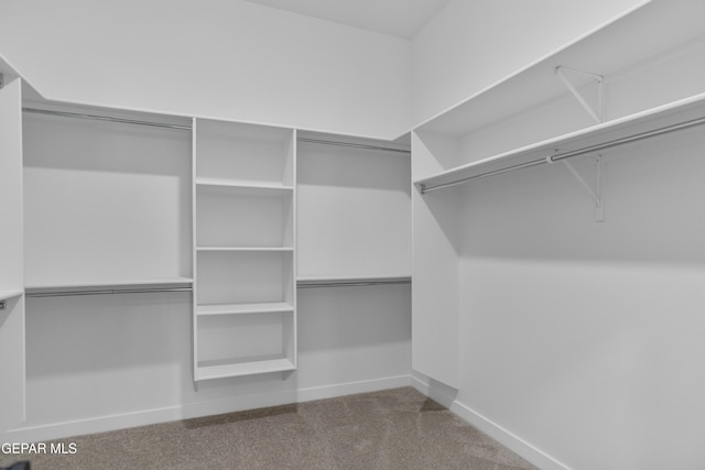 3780 Surmise St, El Paso, TX 79938 - walk in closet with carpet floors