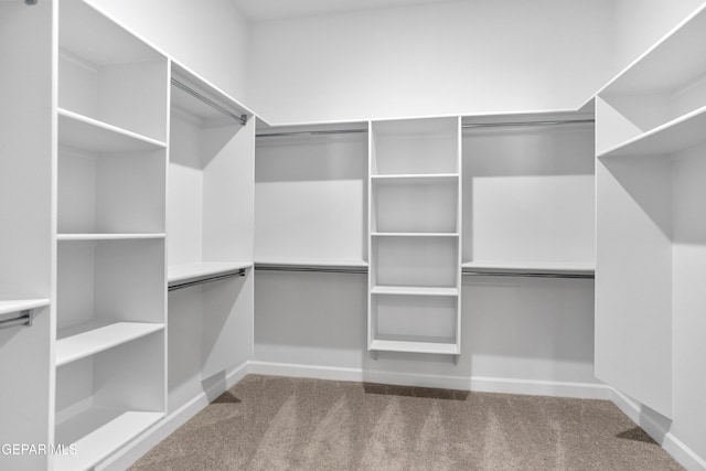 3749 Focus Pl, El Paso, TX 79938 - walk in closet with carpet