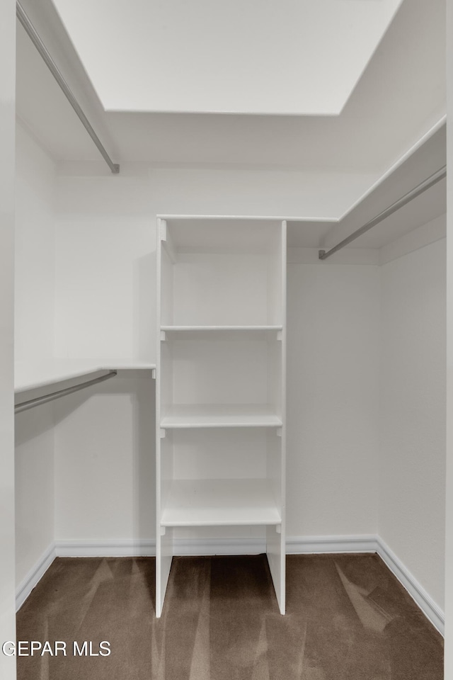 walk in closet featuring carpet flooring