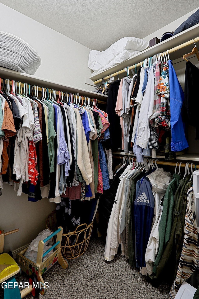 spacious closet featuring carpet flooring