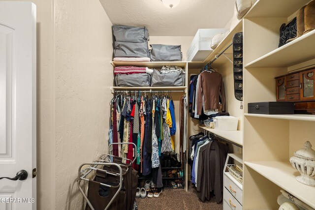 walk in closet featuring carpet floors