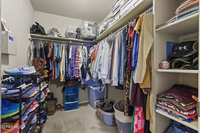 spacious closet with carpet floors