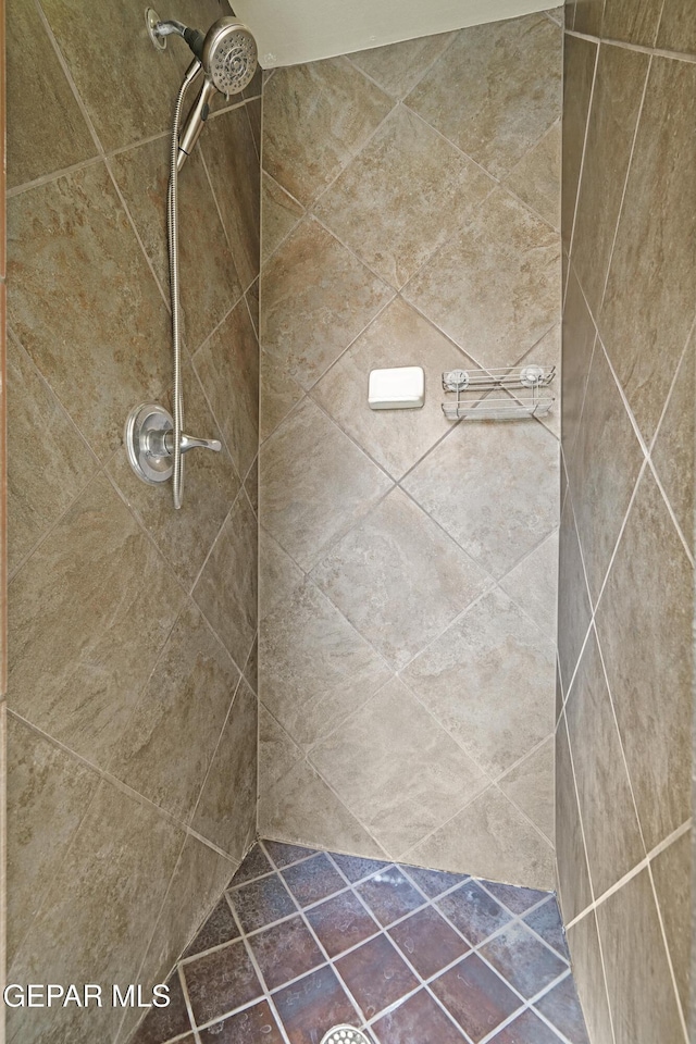 full bathroom with a tile shower