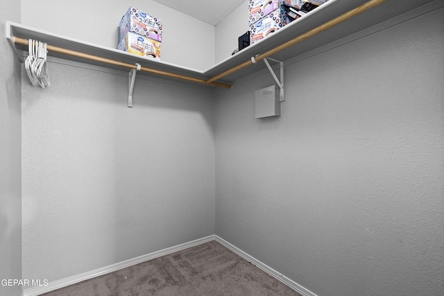 spacious closet featuring dark colored carpet