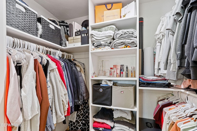 view of walk in closet