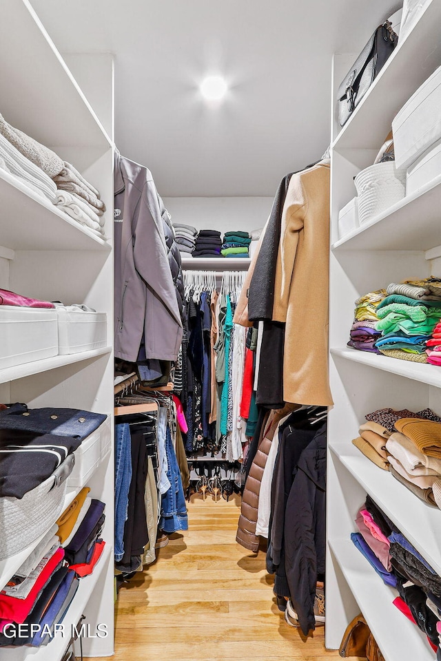 walk in closet featuring wood finished floors