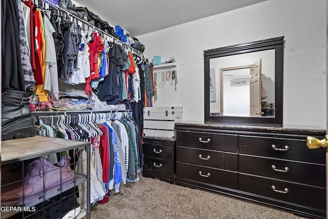 11400 Pifas Nevarez Pl, El Paso, TX 79934 - spacious closet featuring carpet floors