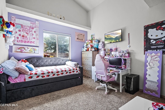 11400 Pifas Nevarez Pl, El Paso, TX 79934 - bedroom featuring carpet and lofted ceiling