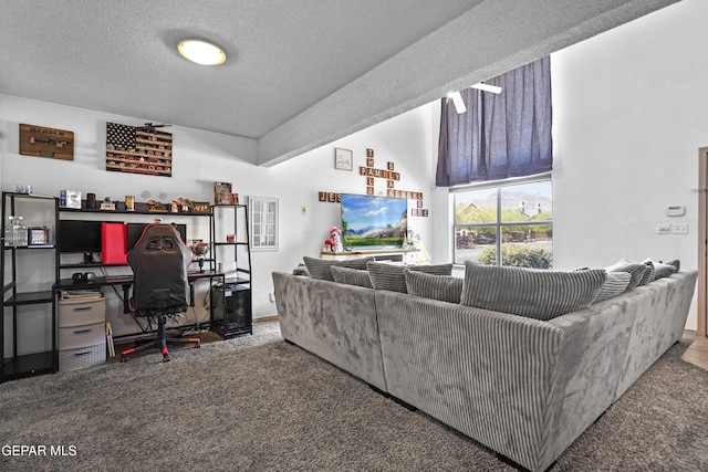 11400 Pifas Nevarez Pl, El Paso, TX 79934 - living area with a textured ceiling and carpet floors