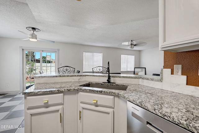 kitchen with plenty of natural light, a sink, ceiling fan, and stainless steel dishwasher
