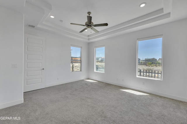 spare room featuring baseboards, a healthy amount of sunlight, carpet flooring, and a tray ceiling