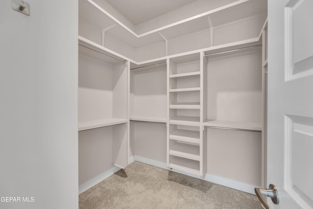 spacious closet with carpet flooring