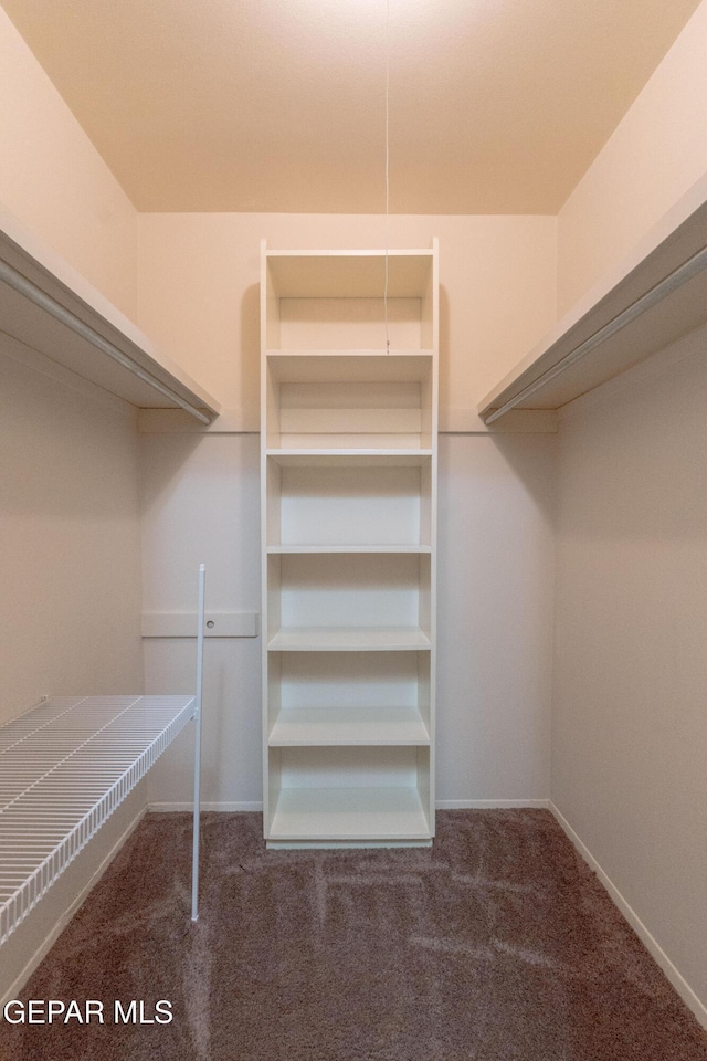 walk in closet featuring carpet flooring