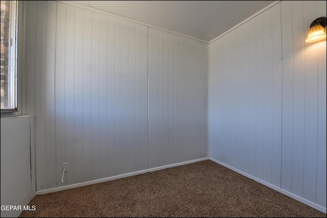 unfurnished room featuring wood walls and carpet floors