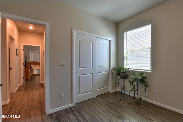 13162 Cleethorpes St, El Paso, TX 79928 - bedroom with a closet, dark wood finished floors, and baseboards