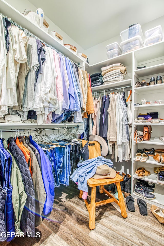 walk in closet featuring wood finished floors