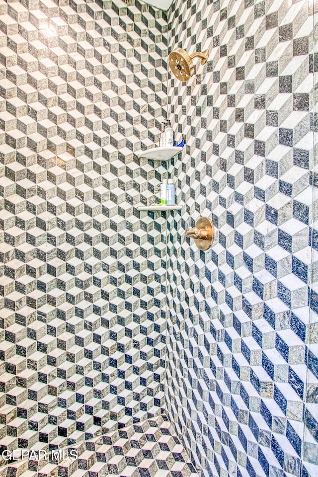 interior details with tiled shower