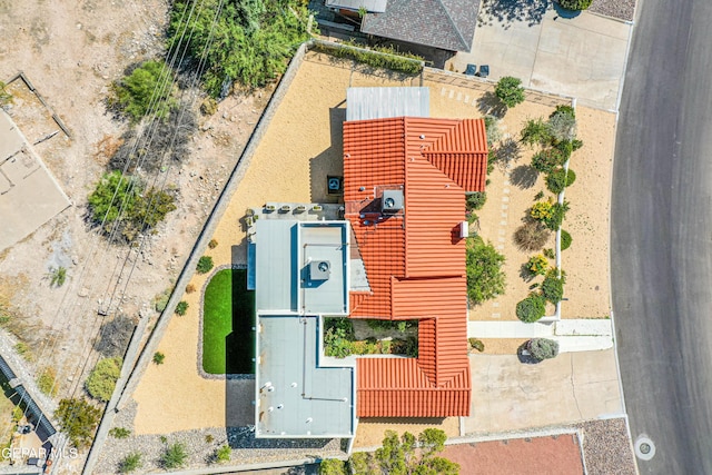bird's eye view