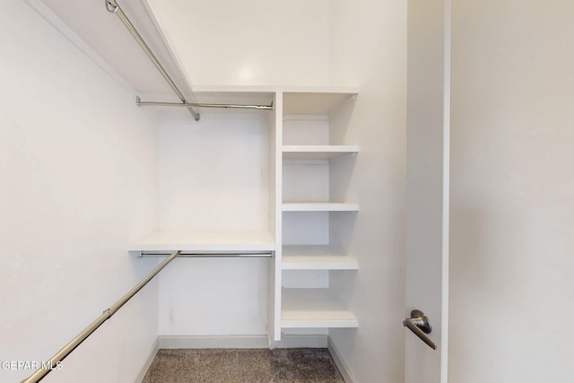 337 Vin Almoradi Ct, El Paso, TX 79912 - spacious closet with carpet flooring