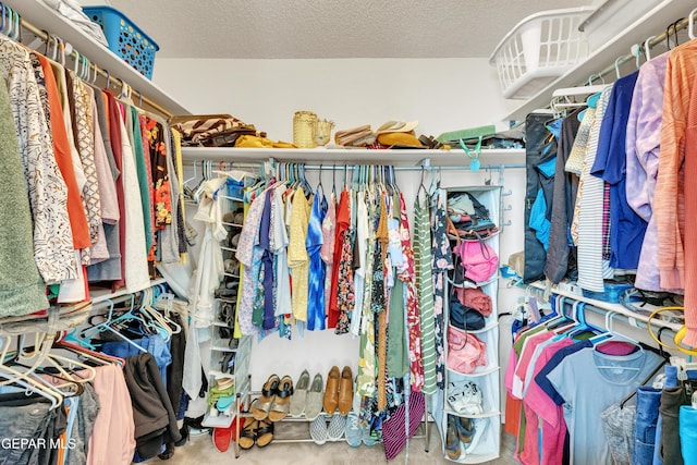 view of walk in closet