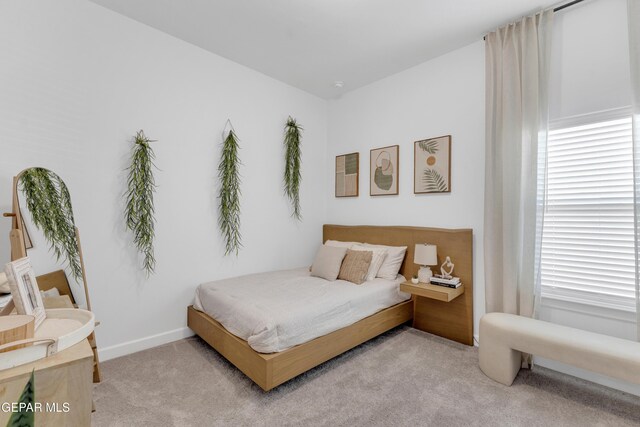 bedroom with carpet floors