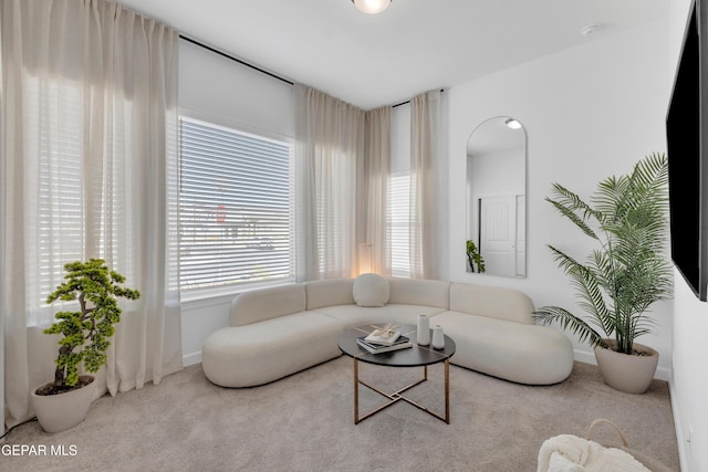 living room with baseboards and carpet